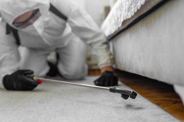 Professional Bed Bug Control technician working in Bettendorf, IA